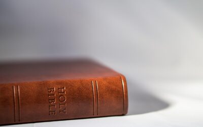 Bibel & Bibelkritik